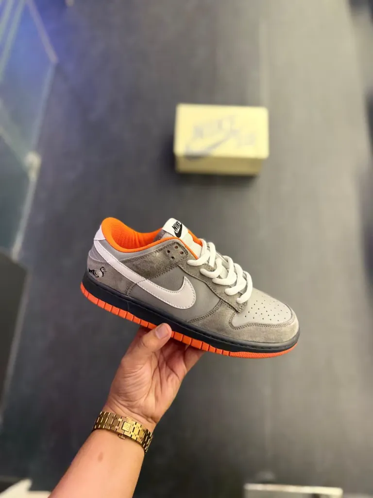 WhatsApp Image 2026-02-06 at 10.48.44.webp