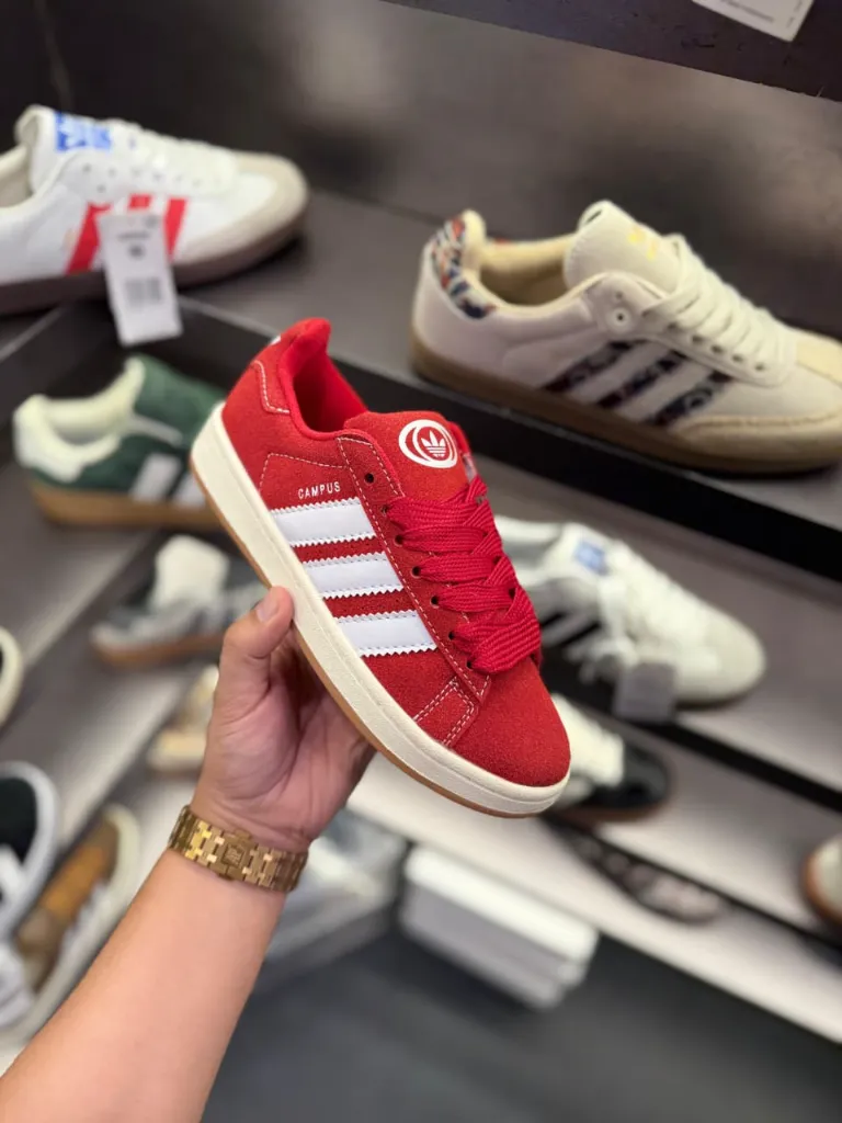 WhatsApp Image 2025-12-28 at 01.46.35.webp