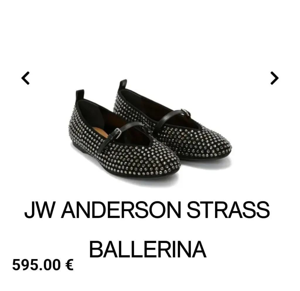 Women Zara JW Anderson Strass Ballerina Flats (40)