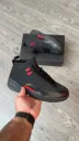 Air Jordan 12 Blood line 