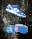 NIKE SB DUNK THE BORNE X RAISED